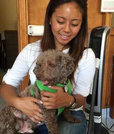 Bosley