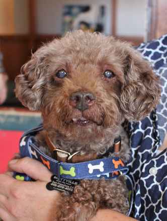 Bosley
