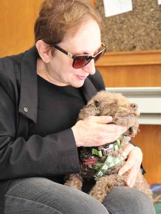 Bosley
