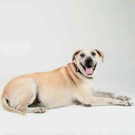 Malibu