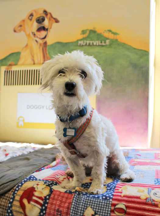 Shuffles