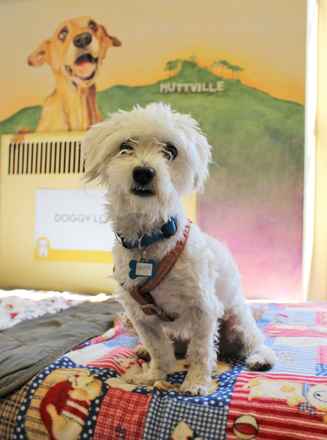 Shuffles
