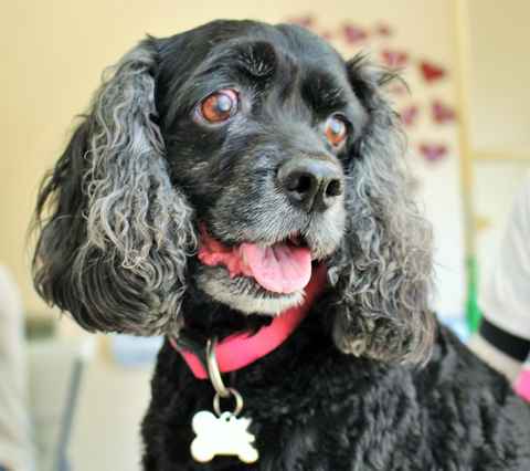 Casey