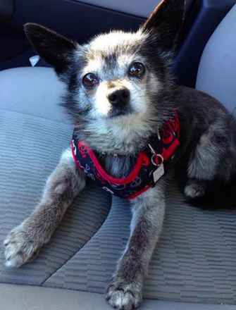 Chunk