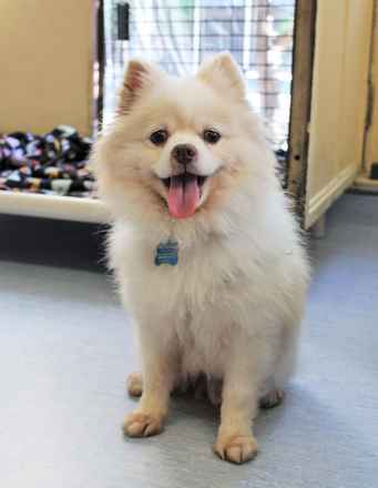 Finnegan