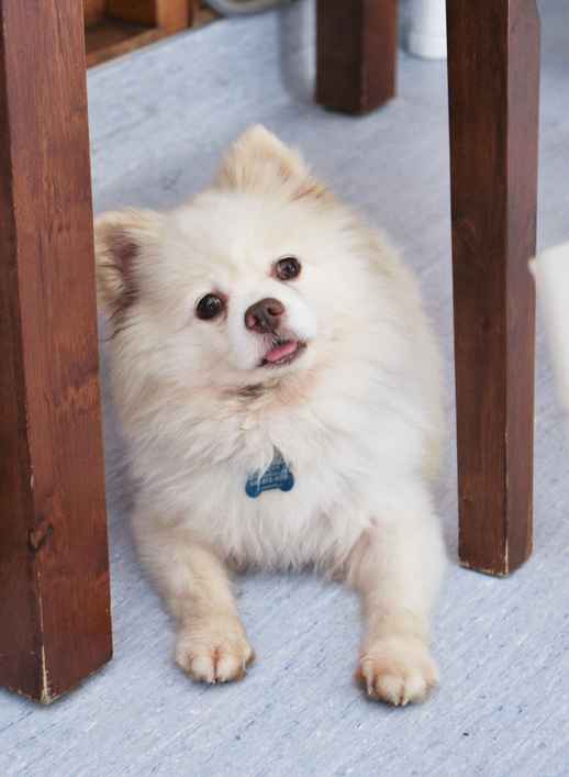 Finnegan