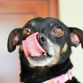 Carmen