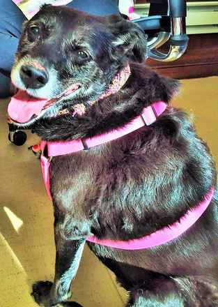 Missy
