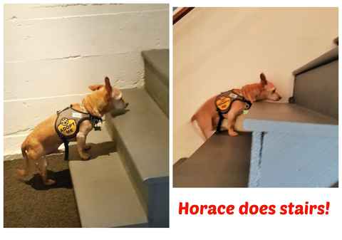 Horace