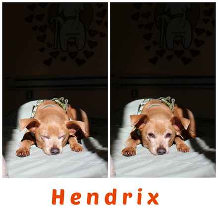 Hendrix