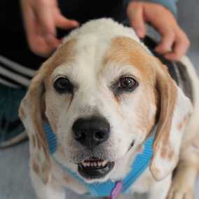 Duncan