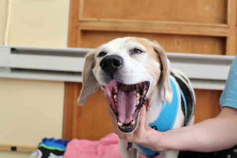 Duncan