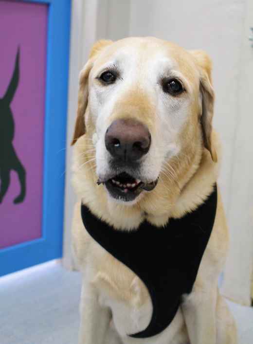 Max