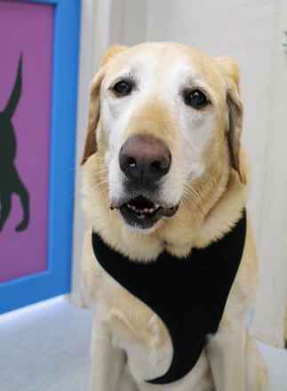 Max