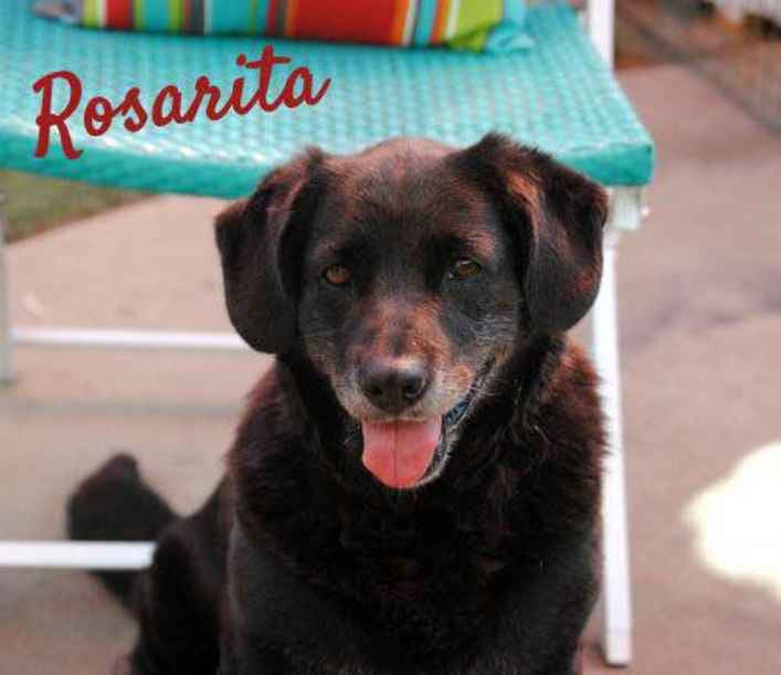 Rosarita