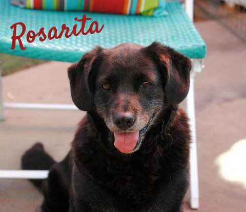 Rosarita