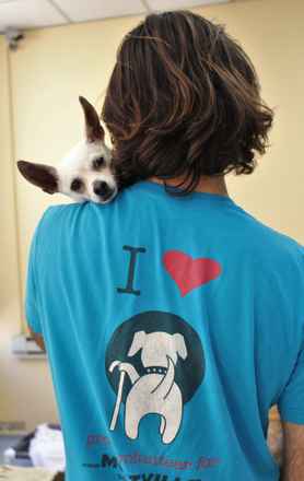 Johnny