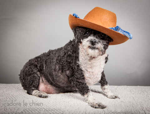 Otto