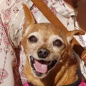 Mia