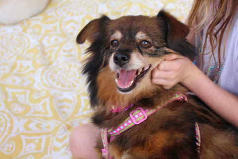 Louise