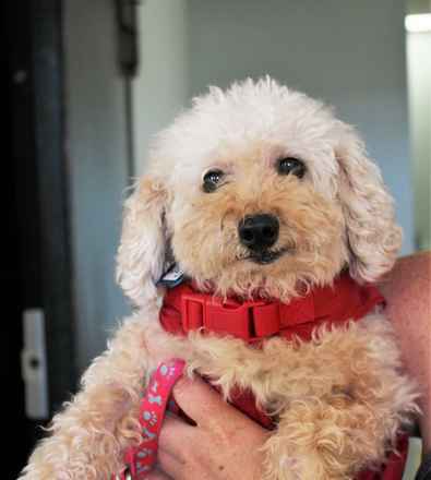 Ruby