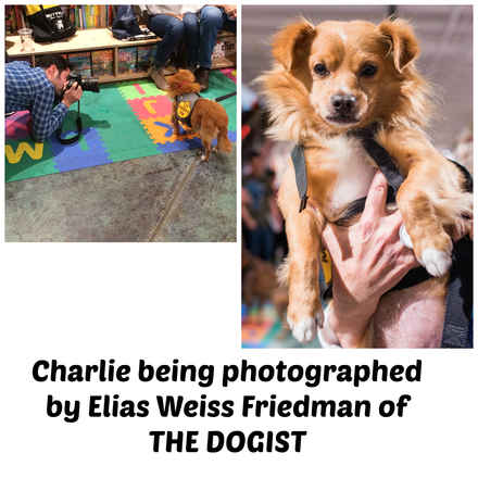 Charlie