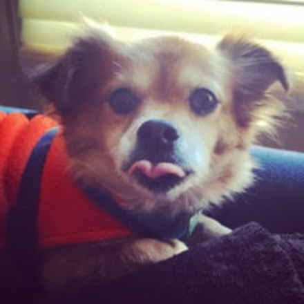 Zoey