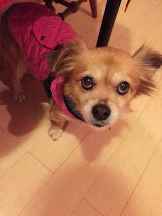 Zoey