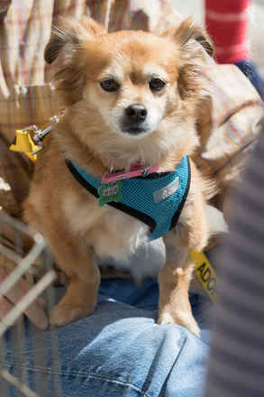 Zoey