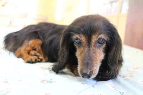 Sally