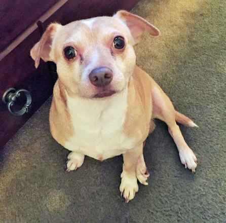 Bailey
