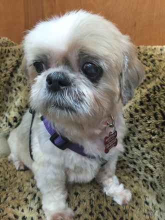 Lulu