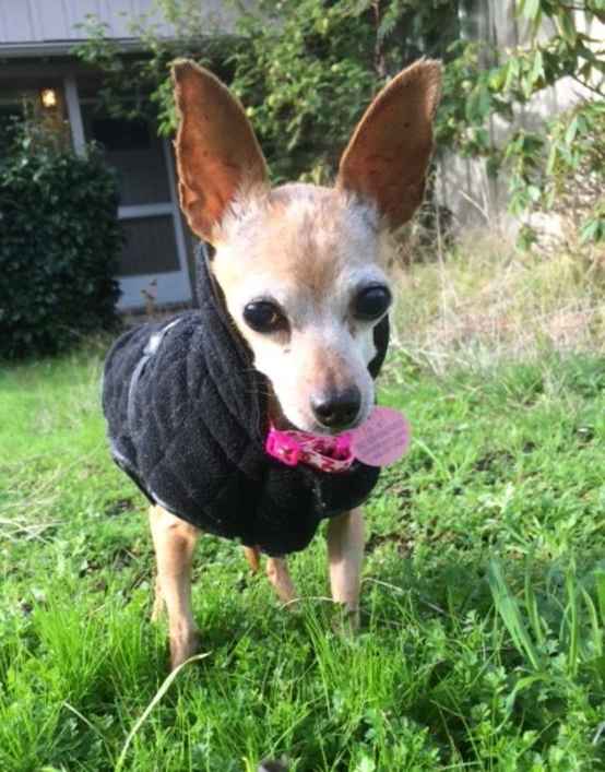 Pepper Anne
