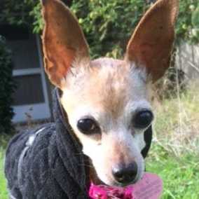 Pepper Anne