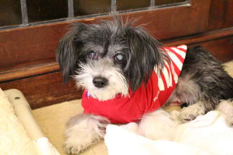 Roxy