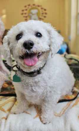 Mickey