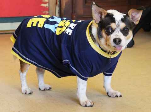 Riggins