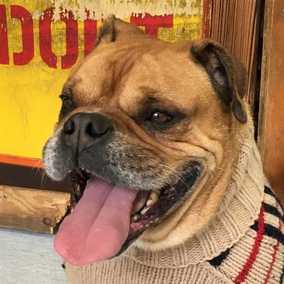 Oscar