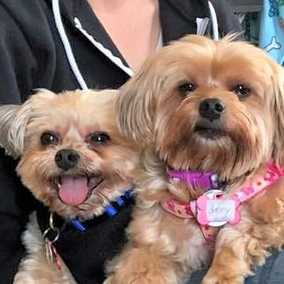 Sunny & Brownie