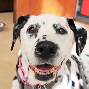 Gina
