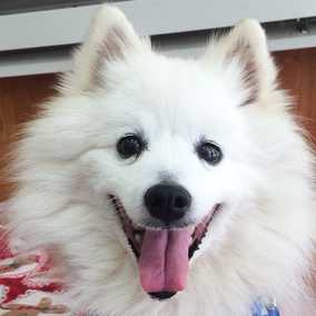 Nala