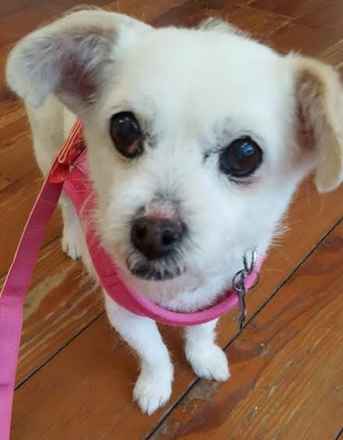 Lucy