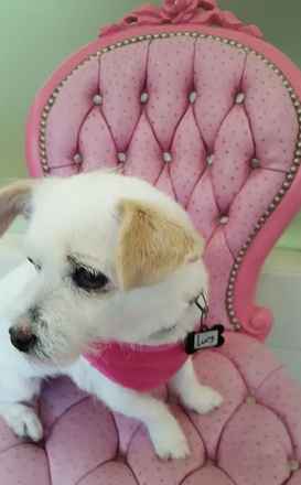 Lucy
