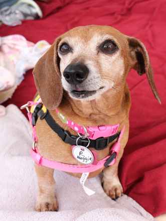 Maggie