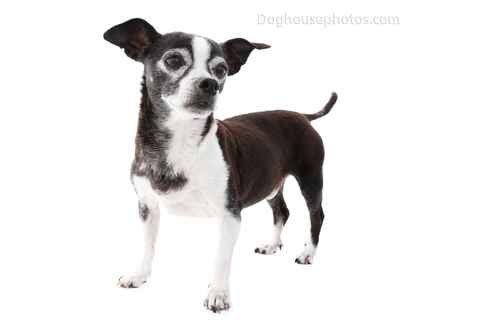 Doug