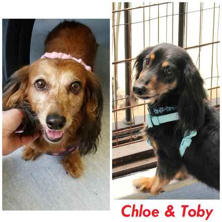 Toby and Chloe