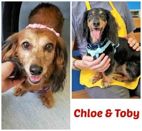 Toby and Chloe