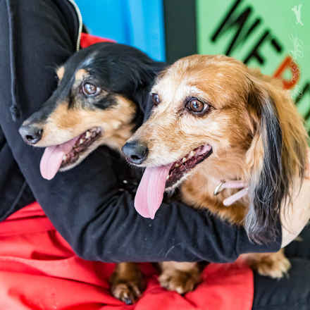 Toby and Chloe