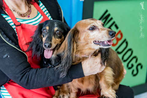 Toby and Chloe