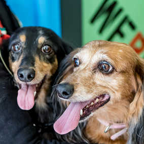 Toby and Chloe